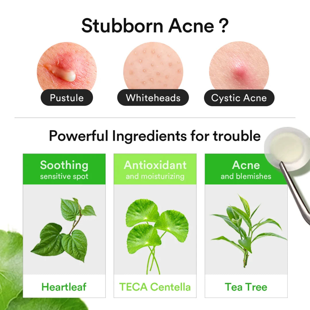 Abib Calming Hydrocolloid Acne Patch Korean Skincare Blemish Treatment