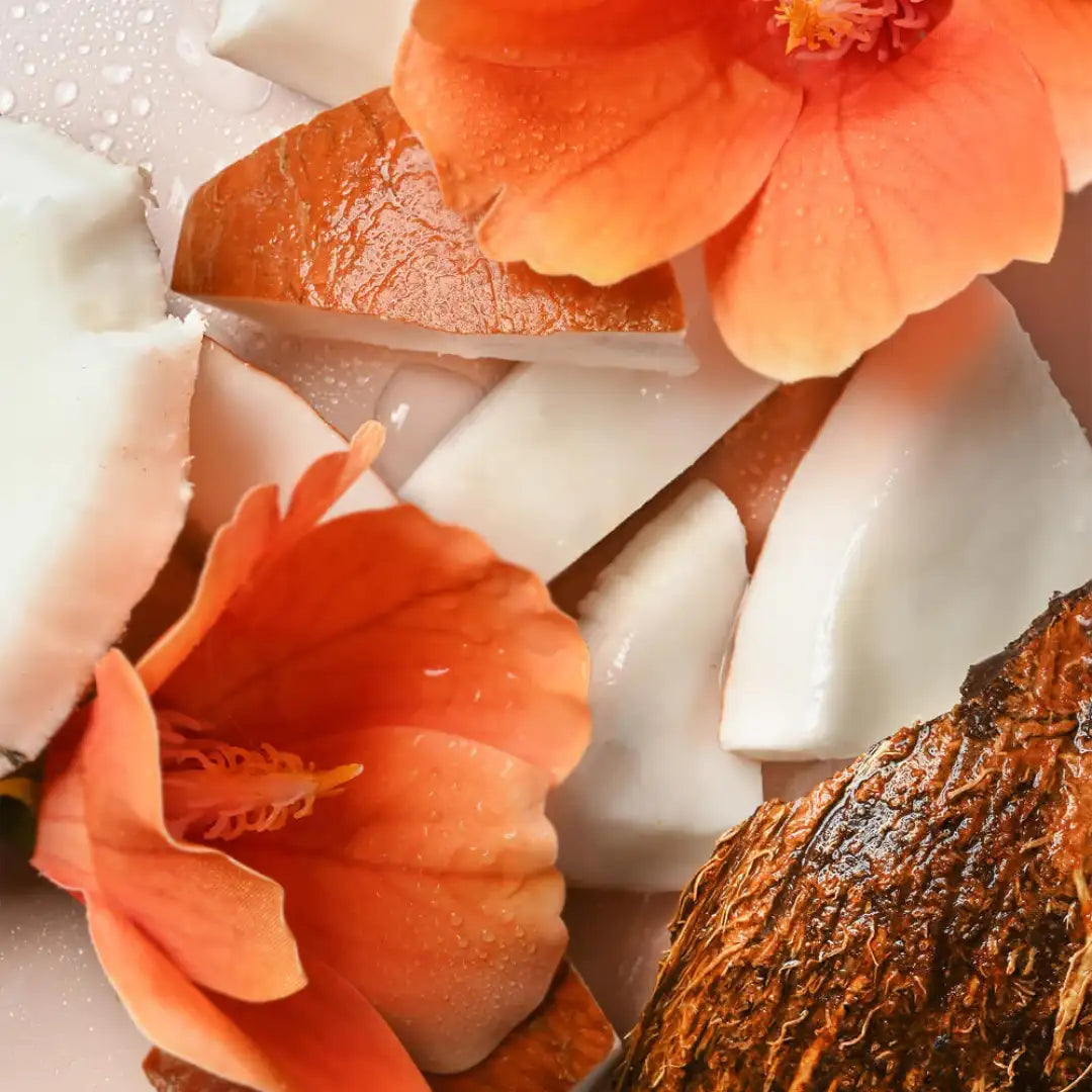 لوشن جوز الهند من إيوس بزبدة الشيا للترطيب العميق